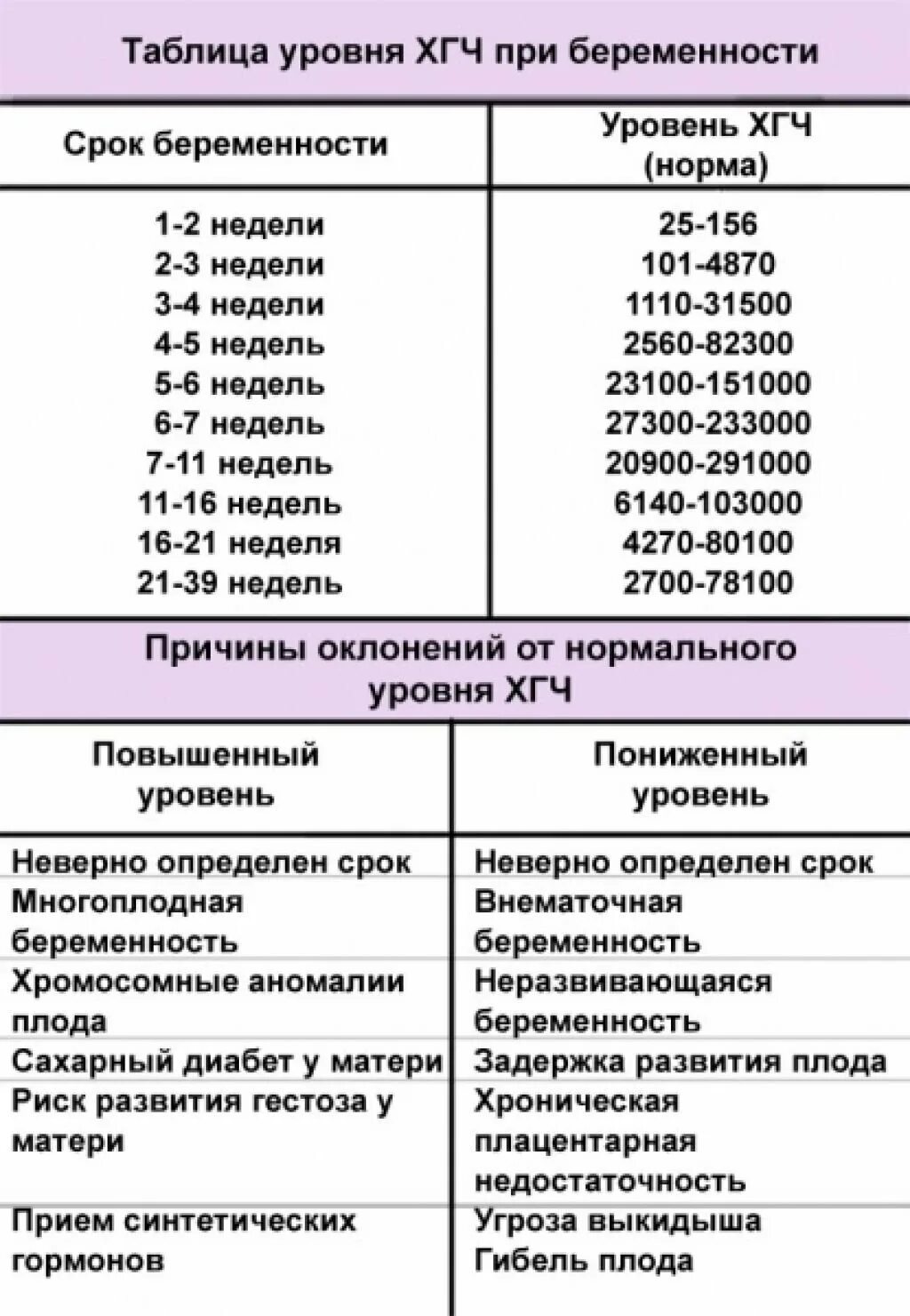 На какой неделе есть сердцебиение