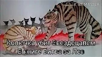 Кот колючка. Коты воители звездоцап частокол и долгохвост. коты воители колючка. коты воители смерть колючки. коты воители смерть частокола.