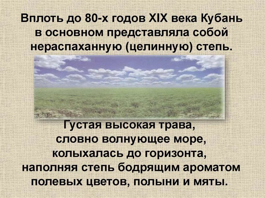 Твои земляки труженики кубановедение 3 класс. Проект по кубановедению твои земляки труженики. Твоиземлеки тружники кубановеденье. Твои земляки труженики презентация по кубановедению 3 класс. Твои земляки труженики 3 класс