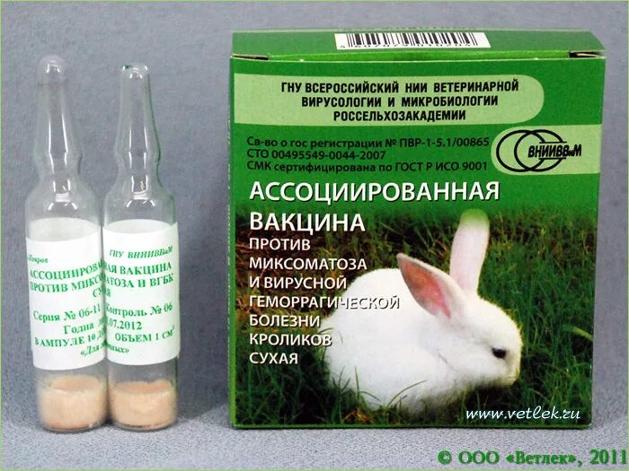 Вакцина кроликам от миксоматоза и вгбк. ВГБК И миксоматоз. ВГБК вакцина для кроликов. Прививка от миксоматоза кроликов. Вакцина против миксоматоза кроликов.
