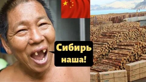 Продам землю китайцам