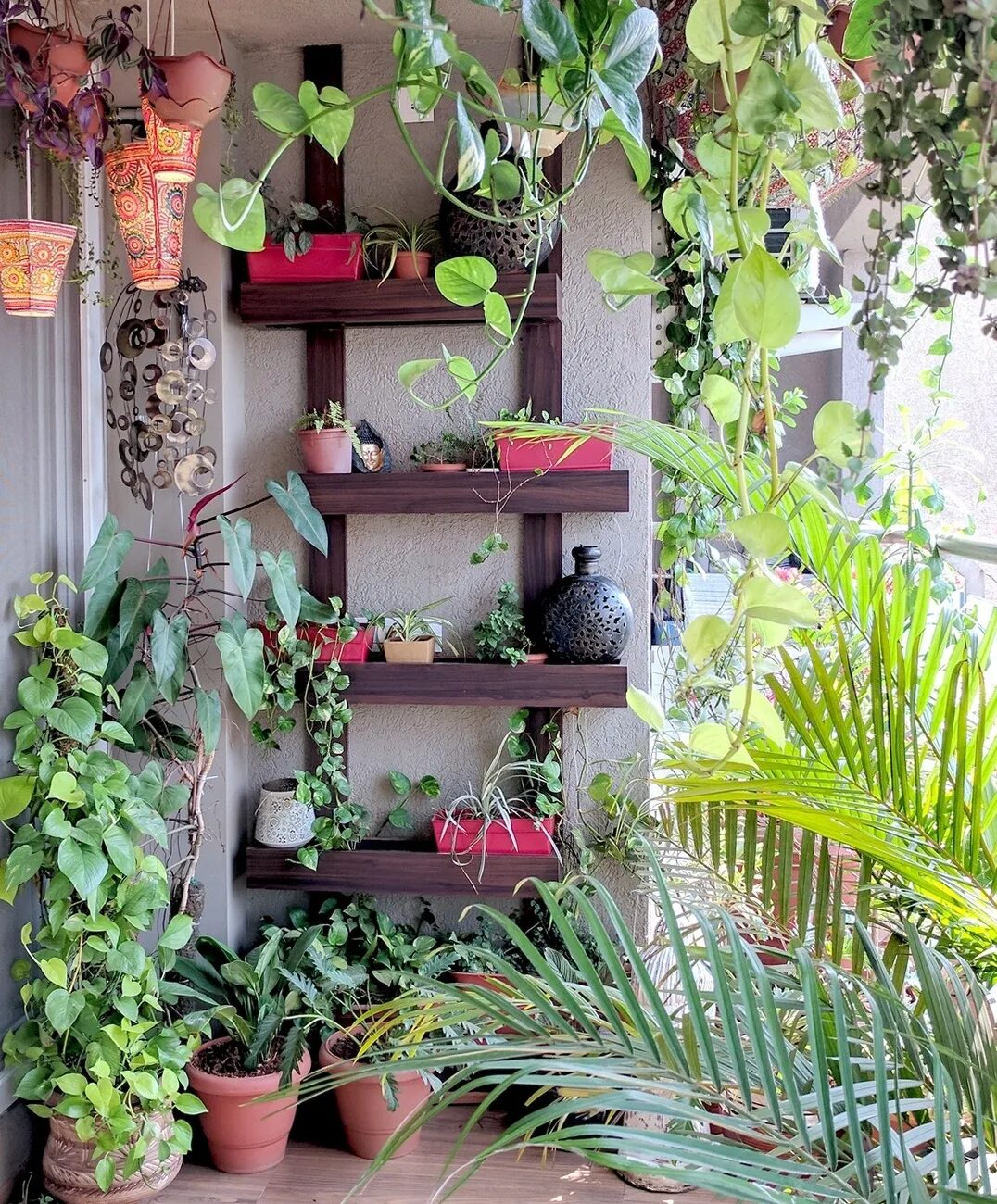 Balcony gardening. Озеленение балкона. Цветы на балконе. Сад-огород на лоджии. Сад на балконе.