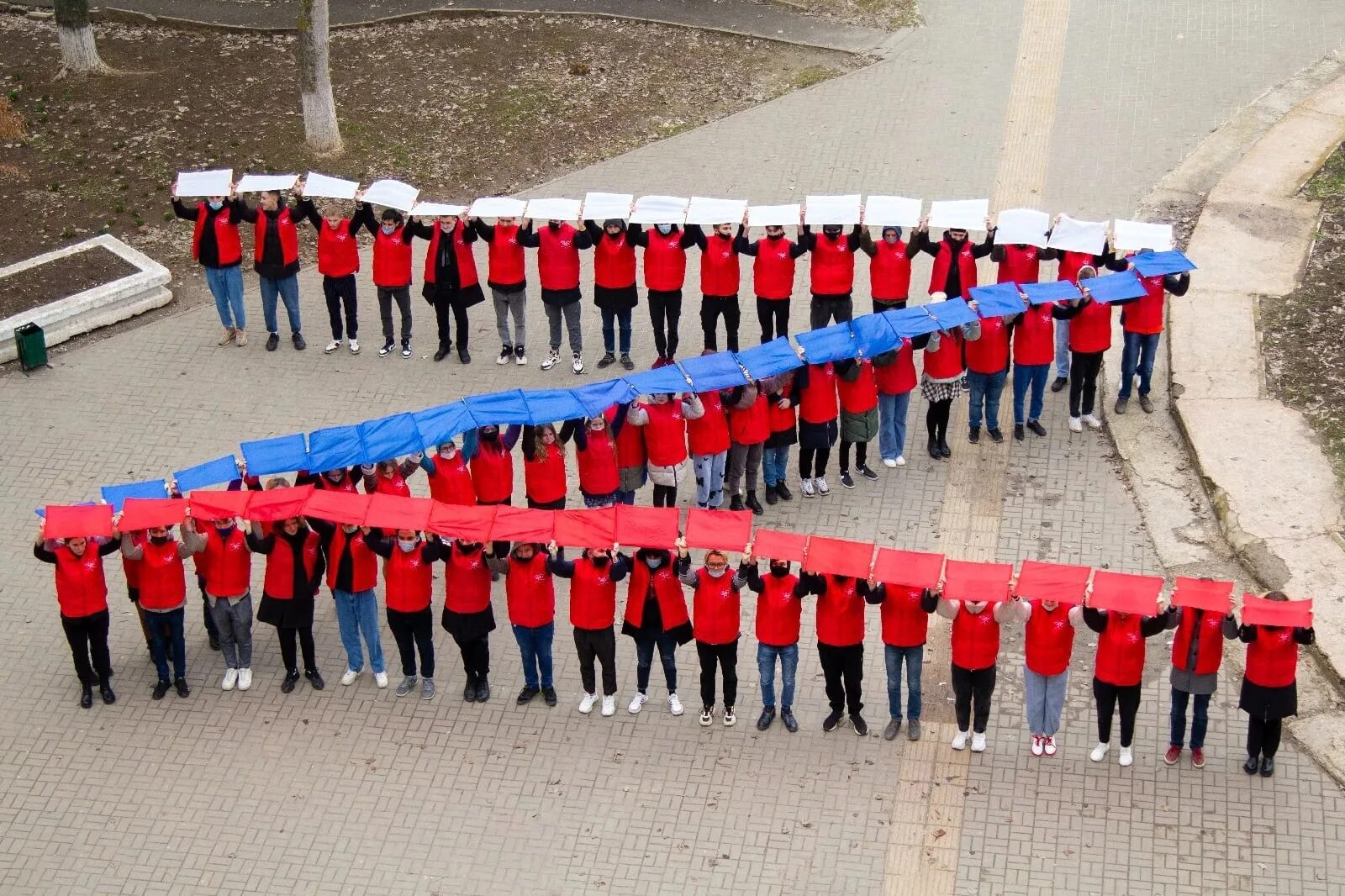 Выстроились в ряд