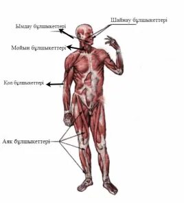 Пискадан түтін