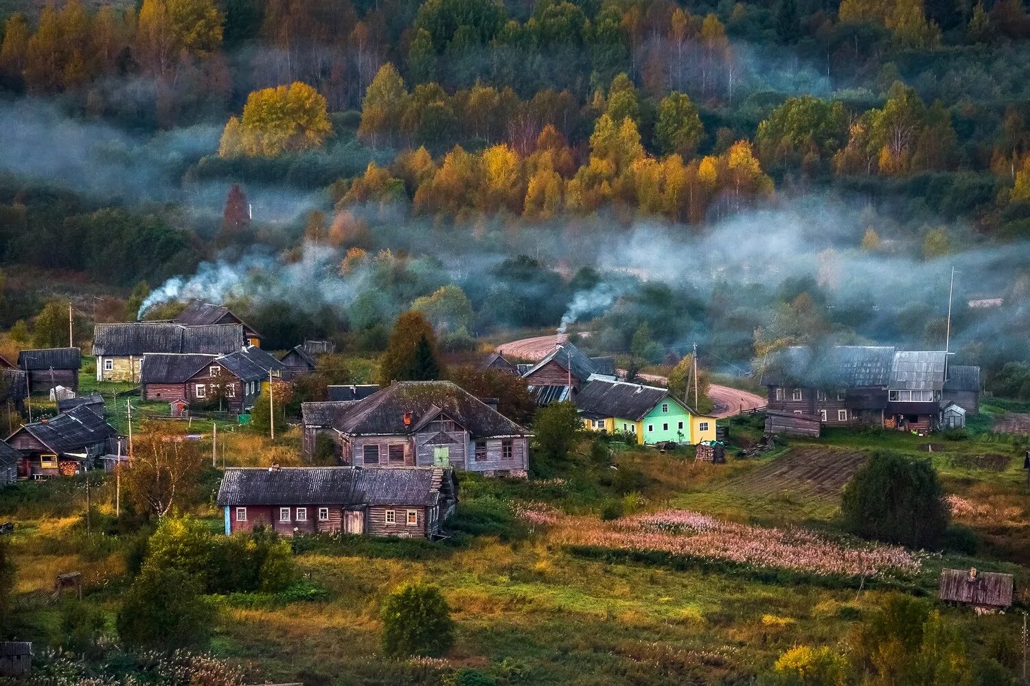 Парк Вепсский лес Тихвин. Лукино Вепсский лес деревня. Вепсский лес Пашозеро. Почему город лучше деревни