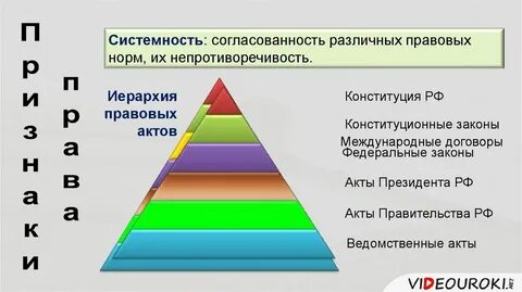 Системность жизни