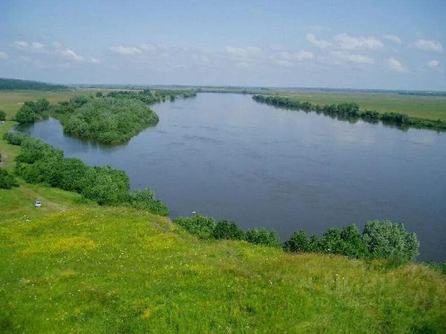 Погода в алпатьево. Алпатьево Луховицкий район. Алпатьево Ока. Село Алпатьево Луховицкого района. Алпатьево пляж.