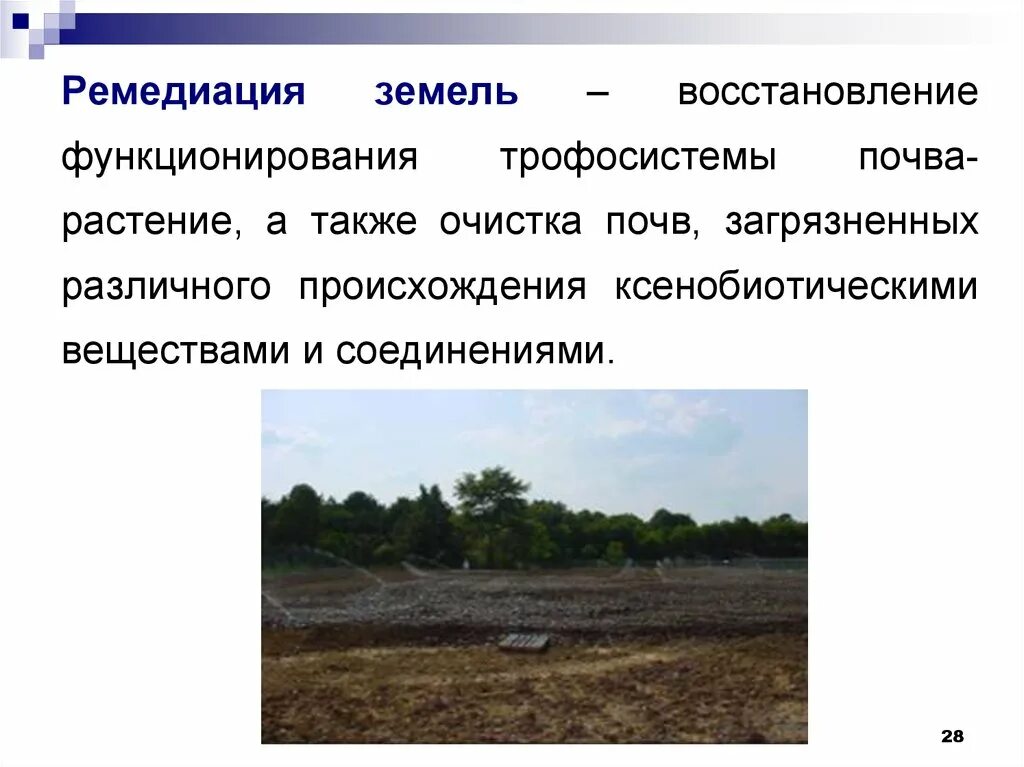 Сохранение и восстановления почв. Ремедиация почв. биоремедиация почв. рекультивация загрязненных земель. биоремедиация загрязнённых почв.