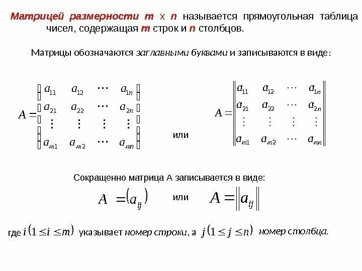 Векторное пространство матриц. Общий вид матрицы. Записать матрицу столбец размером n. Матрица (математика) типы матриц. Матрица строка математика это.