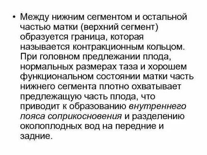 Нижний сегмент