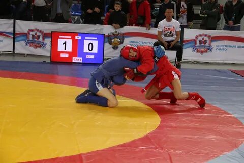 Всероссийский турнир по боевому самбо