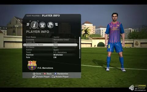 Player information