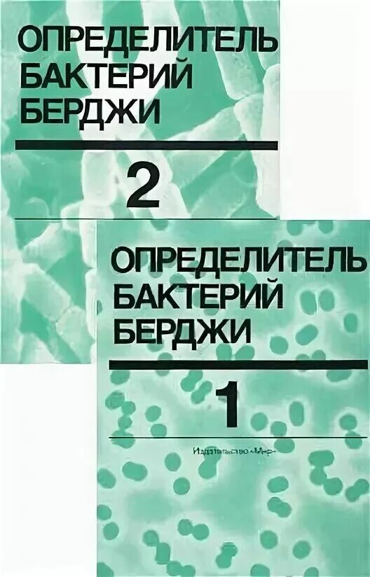 Клостридия ботулинум. Классификация берджи микробиология. Бактерий берги. Бактерии мутанты. Грамположительные палочковидные бактерии.