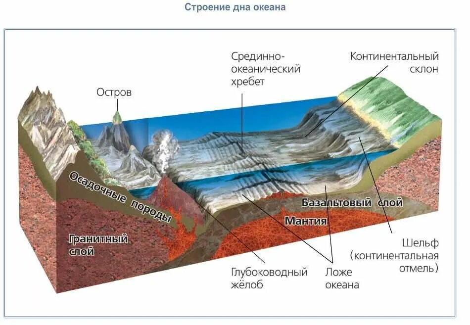 Строение земной поверхности 6. Строение рельефа дна мирового океана. строение дна мирового океана 6 класс. структура рельефа дна мирового океана. схема строения дна мирового океана.