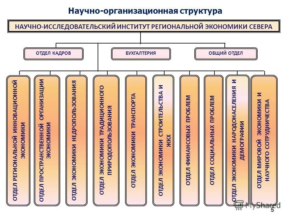 Нииозмм дзм. Структура научно-исследовательского института. Организационная структура научно исследовательского института. Научно исследовательский отдел в компании это. Структурная схема научно технической деятельности.