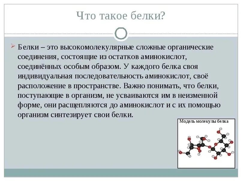 Бики. Белки. Белки это кратко. Определение белков. Название 3 белков