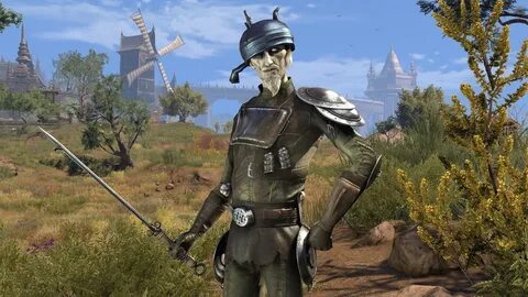 Скриншоты The Elder Scrolls Online: Elsweyr - всего 43 картинки из игры