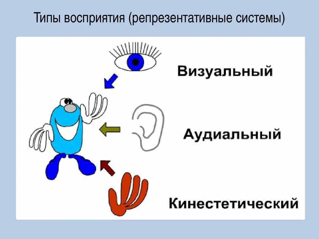 Репрезентативные системы восприятия. Каналы восприятия информации. Ведущий канал восприятия информации – визуальный.. Каналы восприятия НЛП.