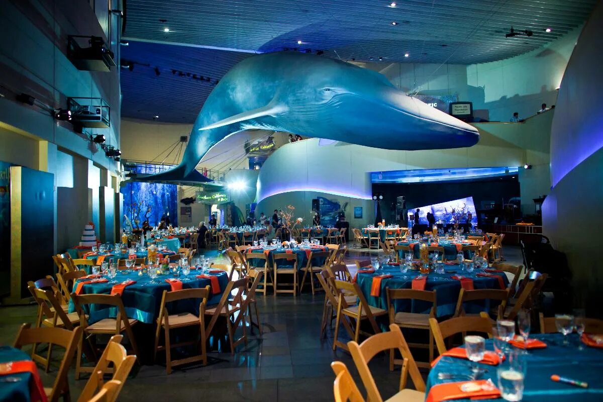 вечеринка космос. гала ужин. Long beach convention and entertainment center. Flower centerpiece for long table. поклонение руки.