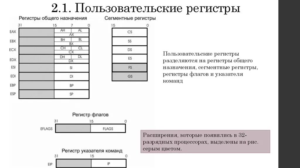 Регистр людей. Сегментные регистры ассемблер. Регистры данных ассемблер. Структура регистров общего назначения. Регистры общего назначения ассемблер.