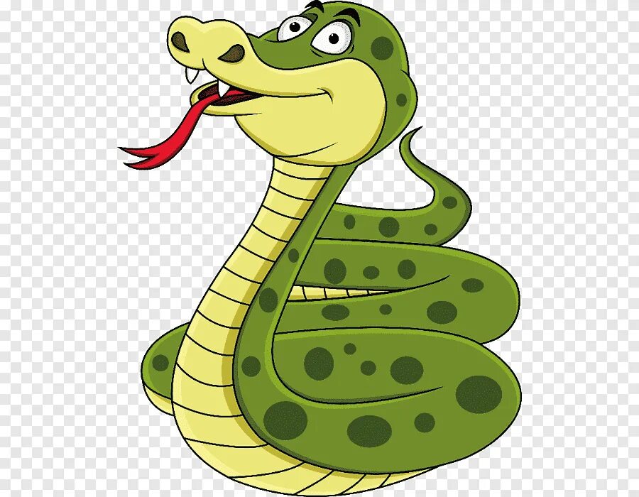 Питон рисунок. Змея раскраска. Гадюка обыкновенная чб. Питон рисунок. Рисунки змей.