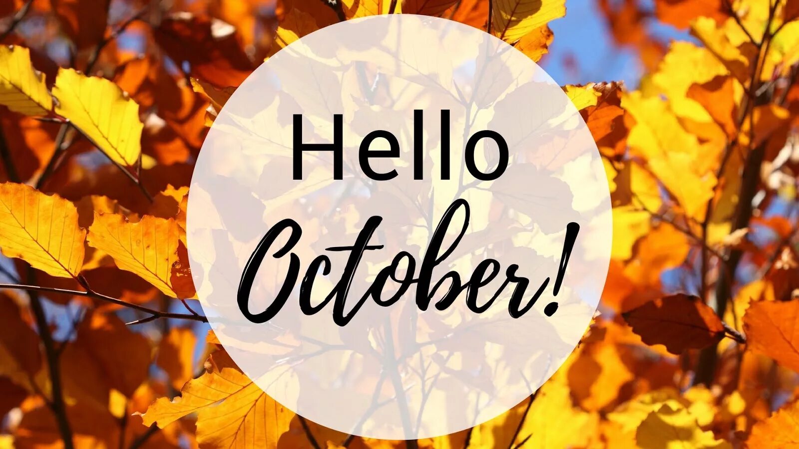 Октябрь картинки с надписями. Хелло октябрь. Здравствуй октябрь October. Привет октябрь заставка на телефон. Стильное фото Хелло октябрь
