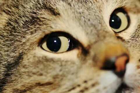 See close