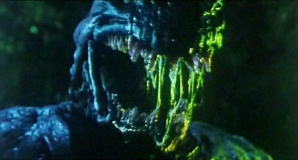 поняли что их трансформация не проклятие