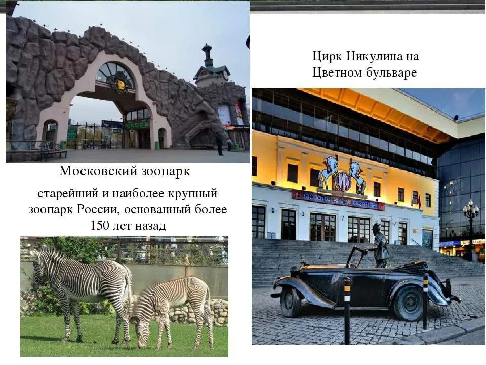 Зоопарк сообщение 2 класс