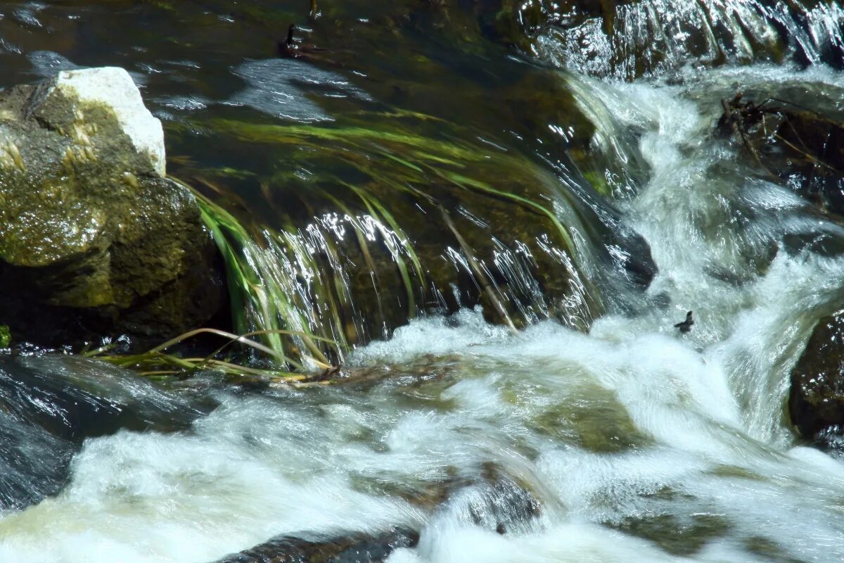 Ручей Бешенка. Поток воды. Текущая вода. Вода ручей. Шум бегущей воды