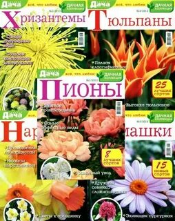 Дачная коллекция каталог