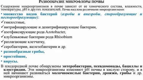 Видовой состав микрофлоры