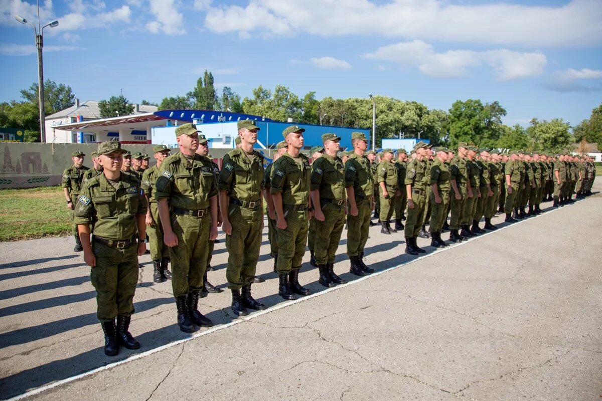 Программа бендеры. Программа бендеры