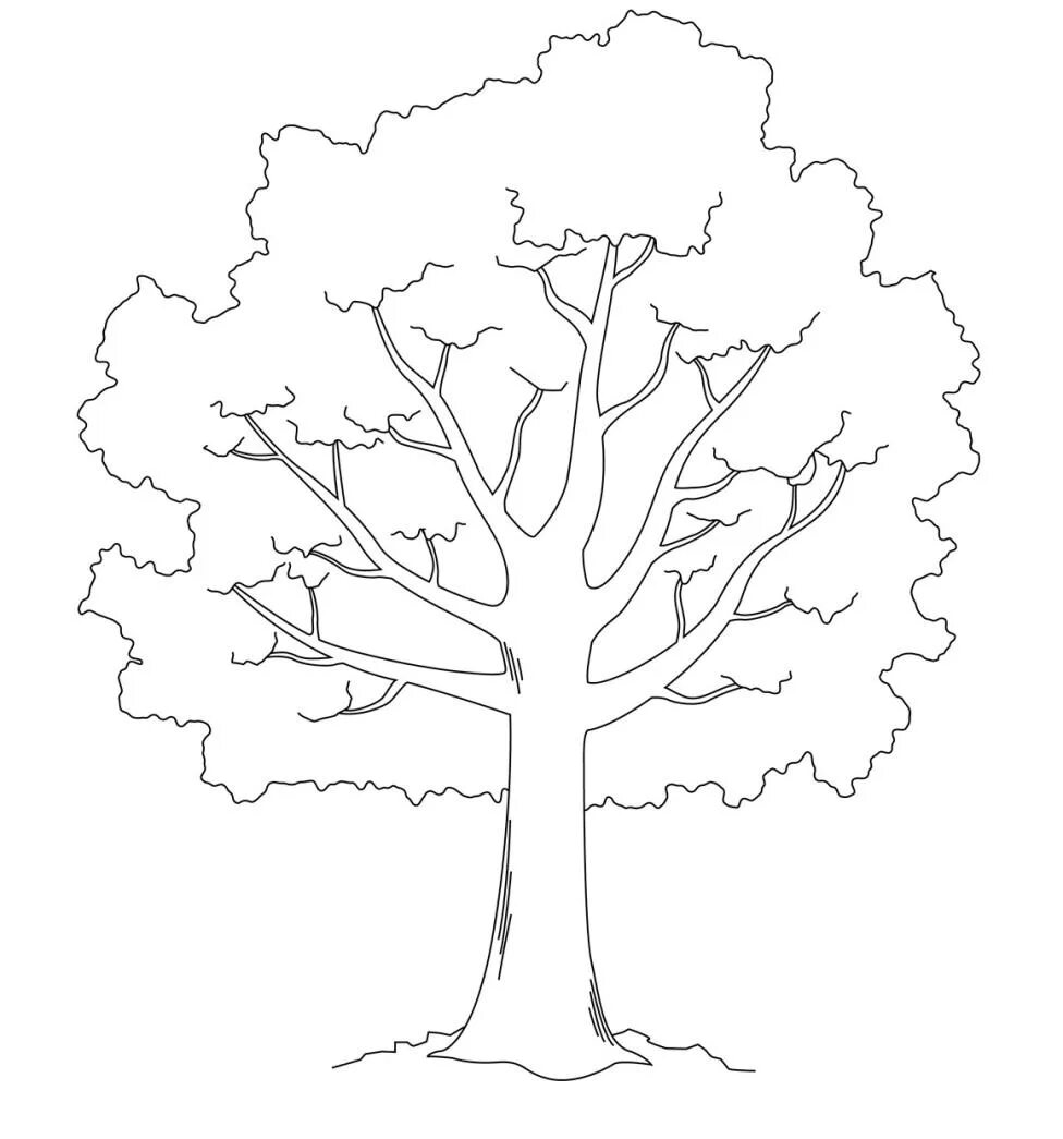 Дерево шаблон распечатать формат а4 Coloring Pages Pattern tree (39 pcs) download or print for free #11850