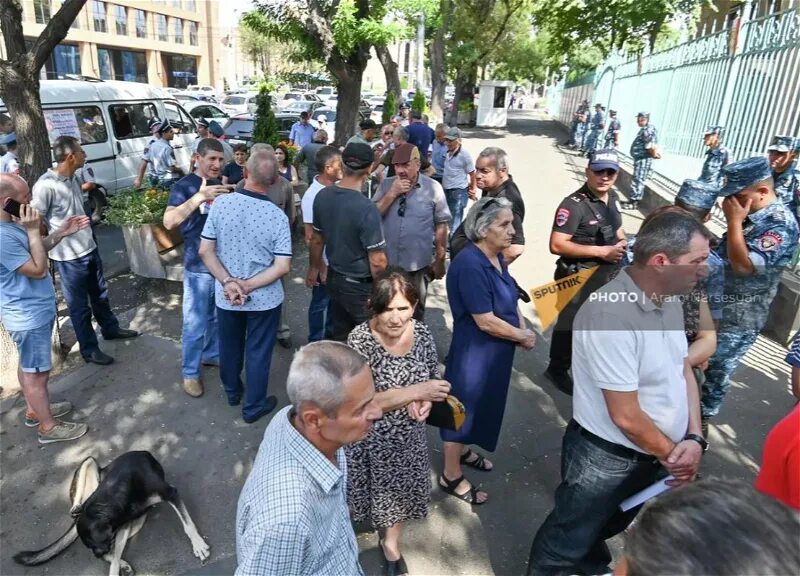 Армяне в Сочи. Митинг в Ереване. Армяне в Ереване. Армения сейчас. Армяне бегут