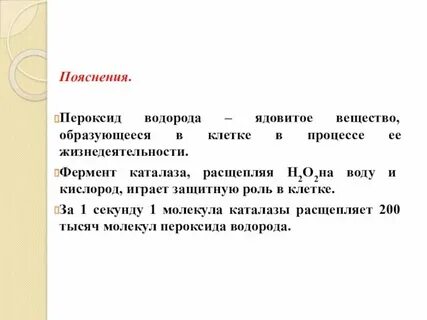 Фермент каталаза содержится во всех живых организмах