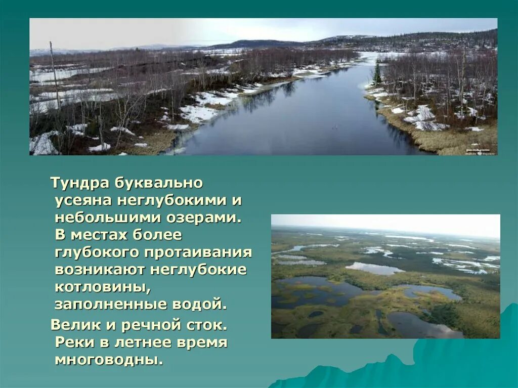 Воды тундры в россии. Река в тундре. Реки и озера тундры. Реки тундры в России. Внутренние воды тундры и лесотундры России.