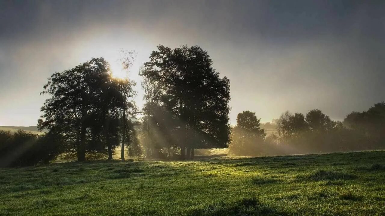 Sun light 1