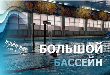 Дельфин балаково
