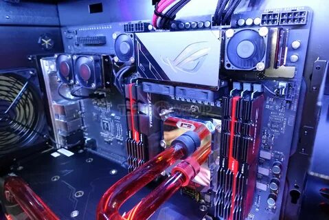 Rog extreme