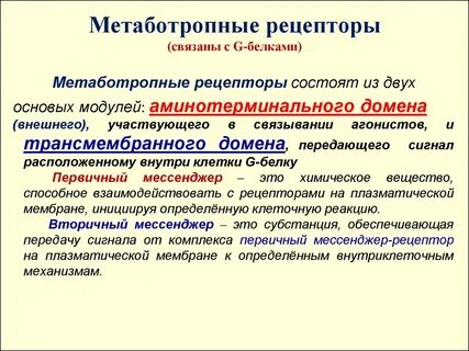 Примеры рецепторов