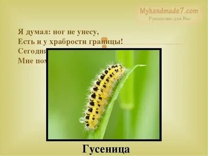 Я думал ног не