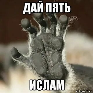 Дай на 5 минут