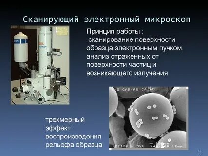 Размеры электронного микроскопа