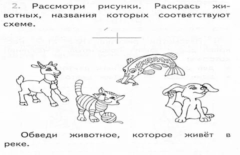 Соедини картинки со схемами поставь ударение