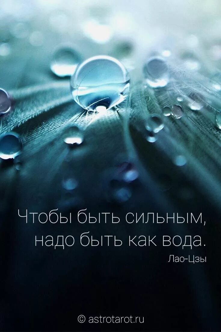 Цитаты про воду. Афоризмы про воду. Высказывания про воду со смыслом. Красивые высказывания о воде. Как будет ласково вода