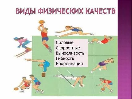 Общие физические качества это