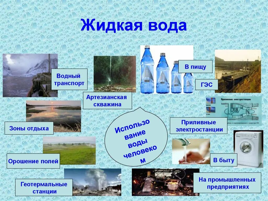 1 вода экология. Вода экологический фактор. Водные факторы экология. Вода как экологический фактор. Вода экологическая характеристика фактора.