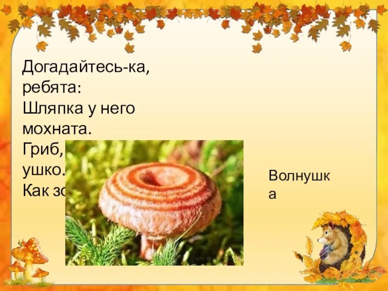 Шляпка гриба предложение
