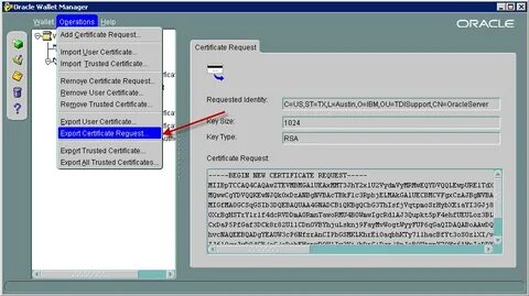 Oracle wallet
